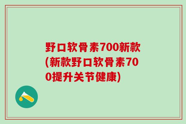 野口软骨素700新款(新款野口软骨素700提升关节健康)
