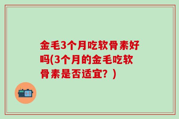 金毛3个月吃软骨素好吗(3个月的金毛吃软骨素是否适宜?) 金毛3个月吃软骨素好吗(3个月的金毛吃软骨素是否适宜?)