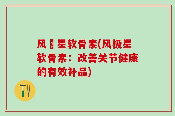 风尅星软骨素(风极星软骨素：改善关节健康的有效补品)