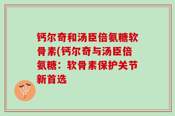 钙尔奇和汤臣倍氨糖软骨素(钙尔奇与汤臣倍氨糖：软骨素保护关节新首选