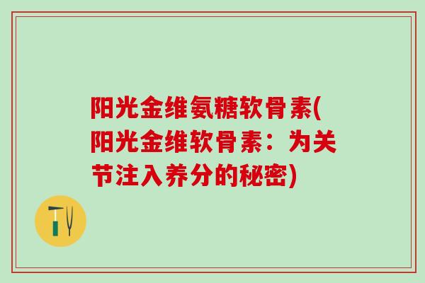 阳光金维氨糖软骨素(阳光金维软骨素：为关节注入养分的秘密)