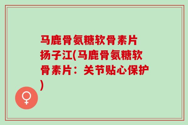 马鹿骨氨糖软骨素片 扬子江(马鹿骨氨糖软骨素片：关节贴心保护)