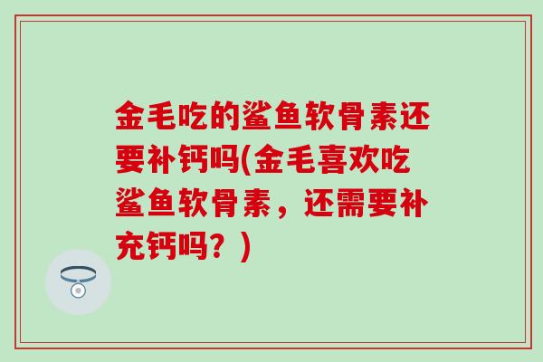 金毛吃的鲨鱼软骨素还要补钙吗(金毛喜欢吃鲨鱼软骨素，还需要补充钙吗？)