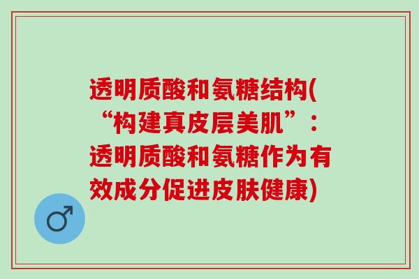 透明质酸和氨糖结构(“构建真皮层美肌”：透明质酸和氨糖作为有效成分促进皮肤健康)