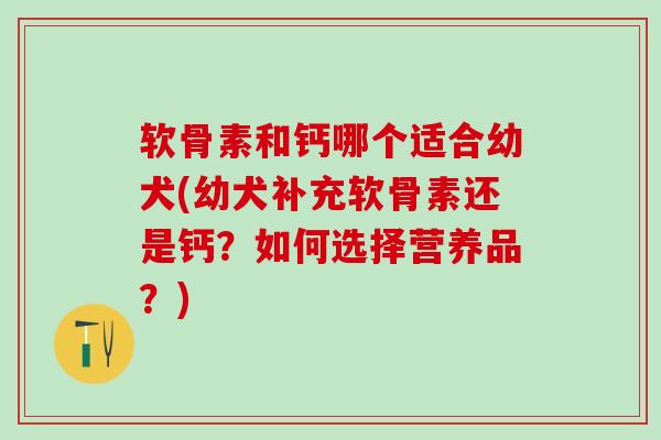 软骨素和钙哪个适合幼犬(幼犬补充软骨素还是钙？如何选择营养品？)