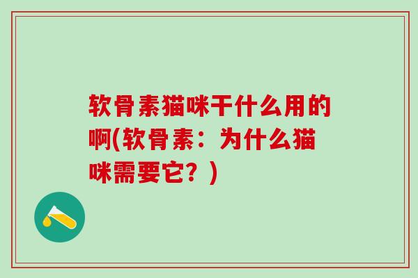 软骨素猫咪干什么用的啊(软骨素：为什么猫咪需要它？)