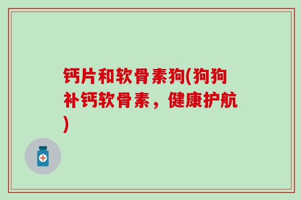 钙片和软骨素狗(狗狗补钙软骨素，健康护航)