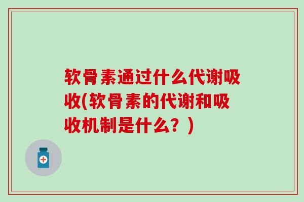 软骨素通过什么代谢吸收(软骨素的代谢和吸收机制是什么？)