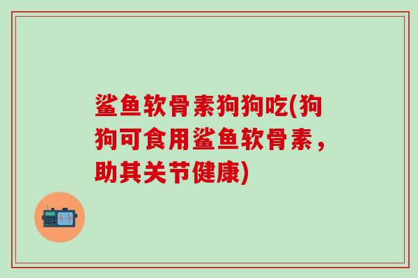 鲨鱼软骨素狗狗吃(狗狗可食用鲨鱼软骨素，助其关节健康)
