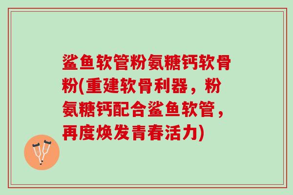 鲨鱼软管粉氨糖钙软骨粉(重建软骨利器，粉氨糖钙配合鲨鱼软管，再度焕发青春活力)