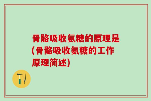 骨骼吸收氨糖的原理是(骨骼吸收氨糖的工作原理简述)