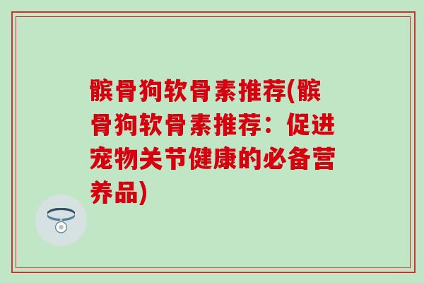 髌骨狗软骨素推荐(髌骨狗软骨素推荐：促进宠物关节健康的必备营养品)