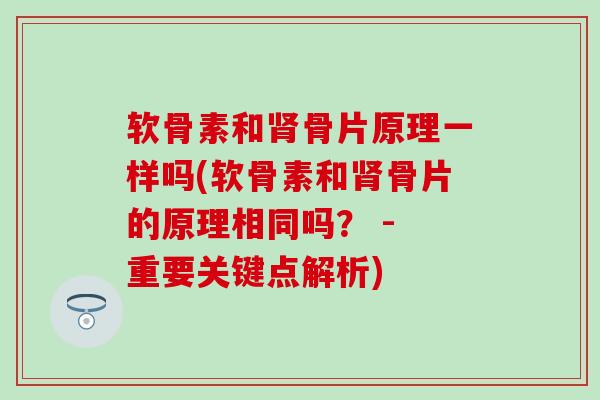 软骨素和肾骨片原理一样吗(软骨素和肾骨片的原理相同吗？ - 重要关键点解析)