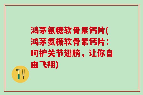 鸿茅氨糖软骨素钙片(鸿茅氨糖软骨素钙片：呵护关节翅膀，让你自由飞翔)