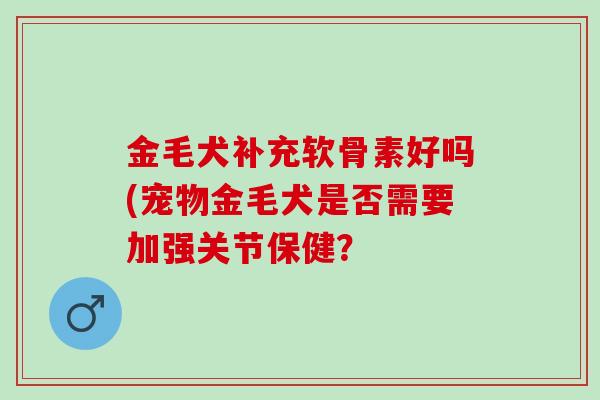 金毛犬补充软骨素好吗(宠物金毛犬是否需要加强关节保健？