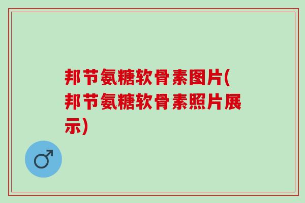 邦节氨糖软骨素图片(邦节氨糖软骨素照片展示)
