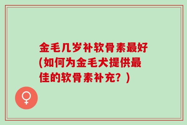 金毛几岁补软骨素最好(如何为金毛犬提供最佳的软骨素补充？)