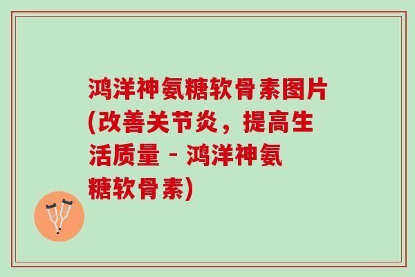 鸿洋神氨糖软骨素图片(改善关节炎，提高生活质量 - 鸿洋神氨糖软骨素)
