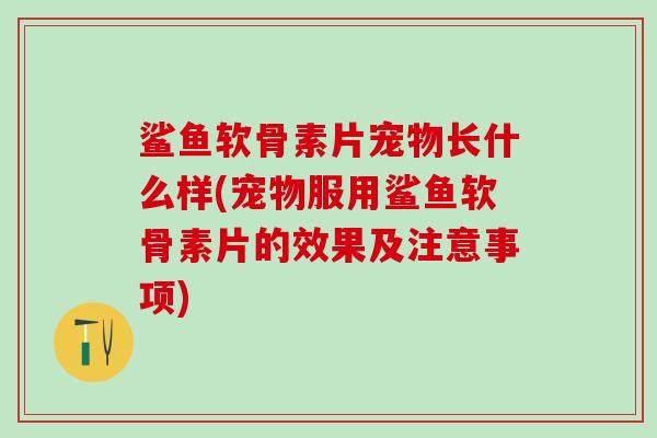鲨鱼软骨素片宠物长什么样(宠物服用鲨鱼软骨素片的效果及注意事项)