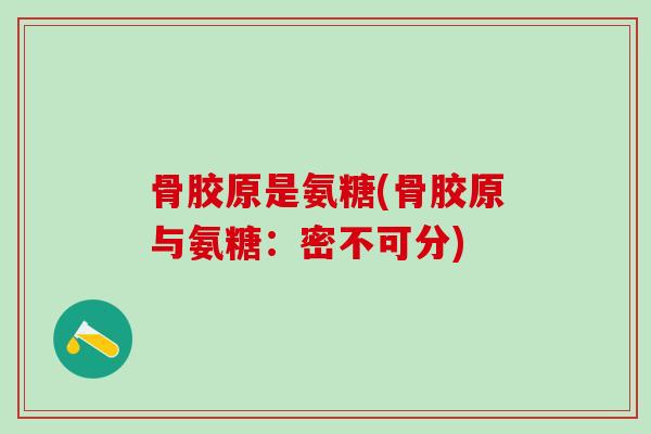 骨胶原是氨糖(骨胶原与氨糖：密不可分)