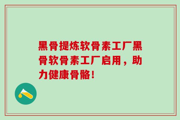 黑骨提炼软骨素工厂黑骨软骨素工厂启用，助力健康骨骼！