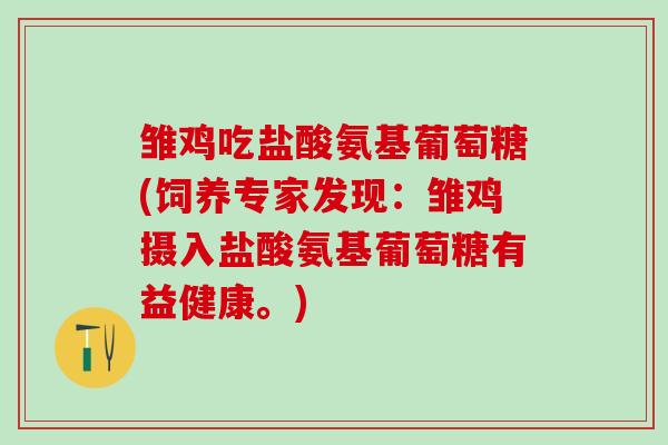 雏鸡吃盐酸氨基葡萄糖(饲养专家发现：雏鸡摄入盐酸氨基葡萄糖有益健康。)