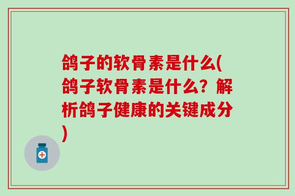 鸽子的软骨素是什么(鸽子软骨素是什么？解析鸽子健康的关键成分)