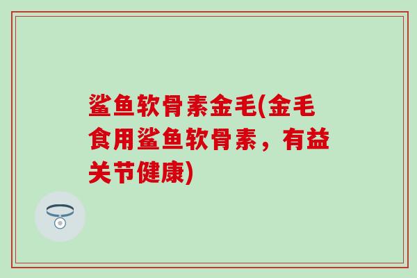 鲨鱼软骨素金毛(金毛食用鲨鱼软骨素，有益关节健康)