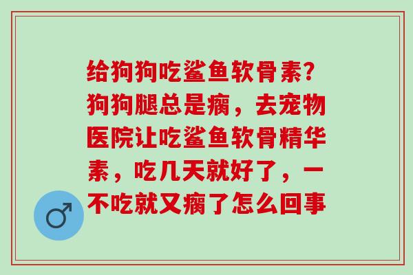 给狗狗吃鲨鱼软骨素？狗狗腿总是瘸，去宠物医院让吃鲨鱼软骨精华素，吃几天就好了，一不吃就又瘸了怎么回事