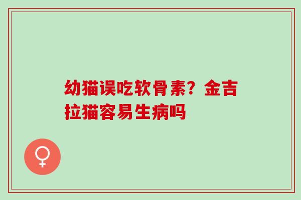 幼猫误吃软骨素？金吉拉猫容易生病吗