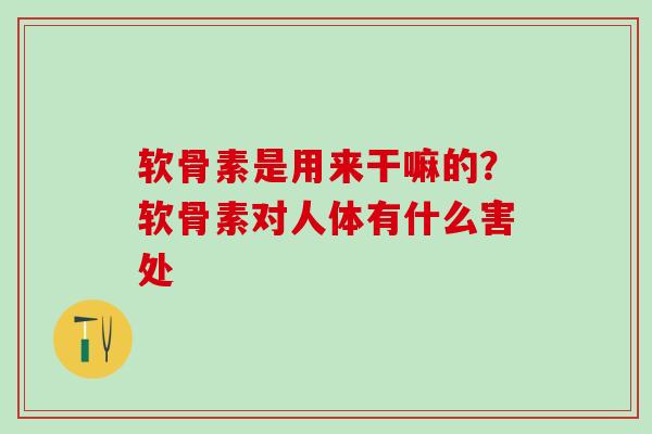 软骨素是用来干嘛的？软骨素对人体有什么害处