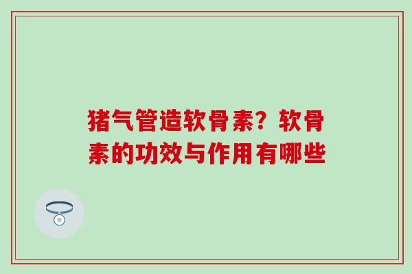 猪气管造软骨素？软骨素的功效与作用有哪些
