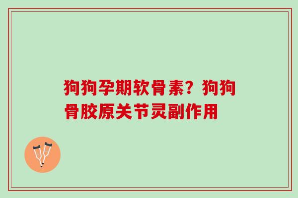 狗狗孕期软骨素？狗狗骨胶原关节灵副作用