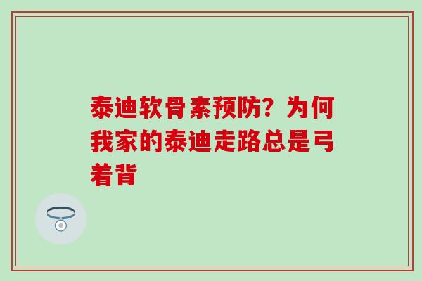 泰迪软骨素预防？为何我家的泰迪走路总是弓着背