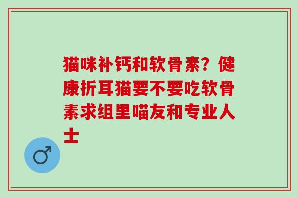 猫咪补钙和软骨素？健康折耳猫要不要吃软骨素求组里喵友和专业人士