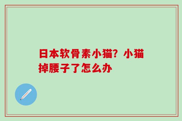 日本软骨素小猫？小猫掉腰子了怎么办