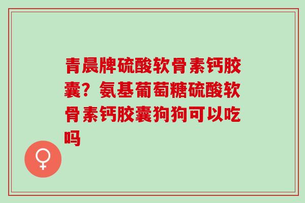 青晨牌硫酸软骨素钙胶囊？氨基葡萄糖硫酸软骨素钙胶囊狗狗可以吃吗