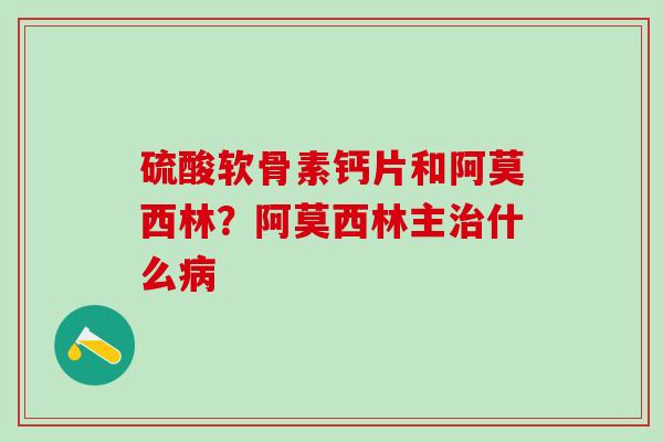 硫酸软骨素钙片和阿莫西林？阿莫西林主治什么病