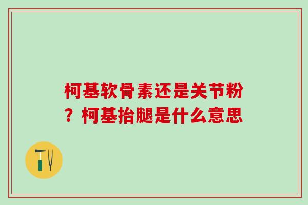 柯基软骨素还是关节粉？柯基抬腿是什么意思