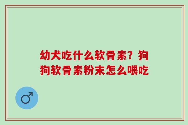 幼犬吃什么软骨素?狗狗软骨素粉末怎么喂吃 幼犬吃什么软骨素?狗狗软骨素粉末怎么喂吃
