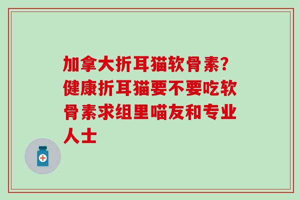 加拿大折耳猫软骨素？健康折耳猫要不要吃软骨素求组里喵友和专业人士
