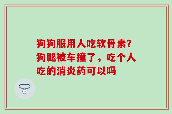 狗狗服用人吃软骨素？狗腿被车撞了，吃个人吃的消炎药可以吗
