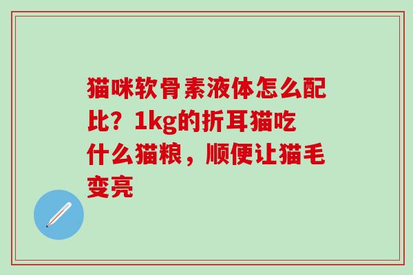 猫咪软骨素液体怎么配比？1kg的折耳猫吃什么猫粮，顺便让猫毛变亮