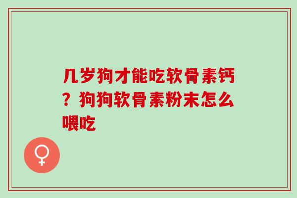 几岁狗才能吃软骨素钙？狗狗软骨素粉末怎么喂吃