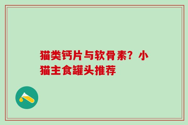 猫类钙片与软骨素？小猫主食罐头推荐