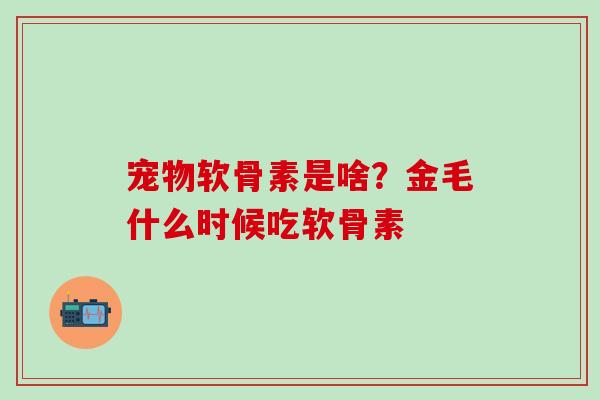 宠物软骨素是啥？金毛什么时候吃软骨素