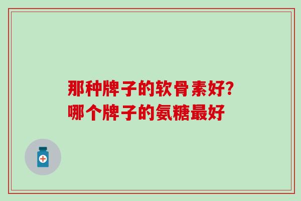那种牌子的软骨素好？哪个牌子的氨糖最好