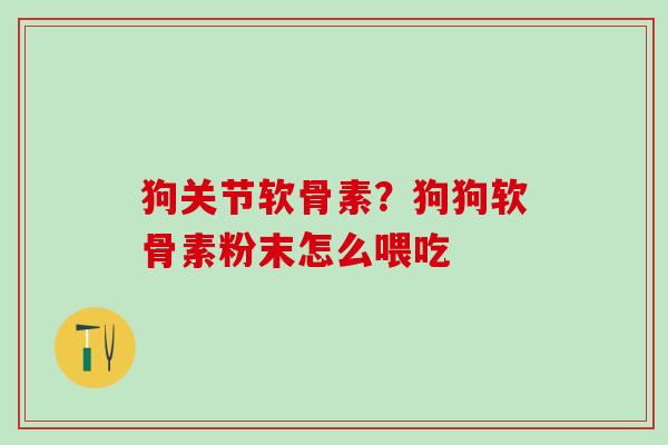 狗关节软骨素?狗狗软骨素粉末怎么喂吃 狗关节软骨素?狗狗软骨素粉末怎么喂吃