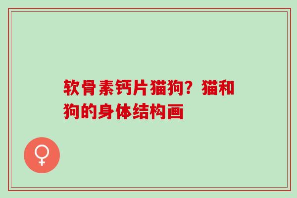 软骨素钙片猫狗？猫和狗的身体结构画