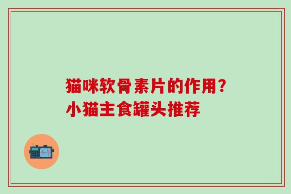 猫咪软骨素片的作用？小猫主食罐头推荐